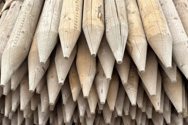 3¼ Pressure Treated Pointed Fence Post