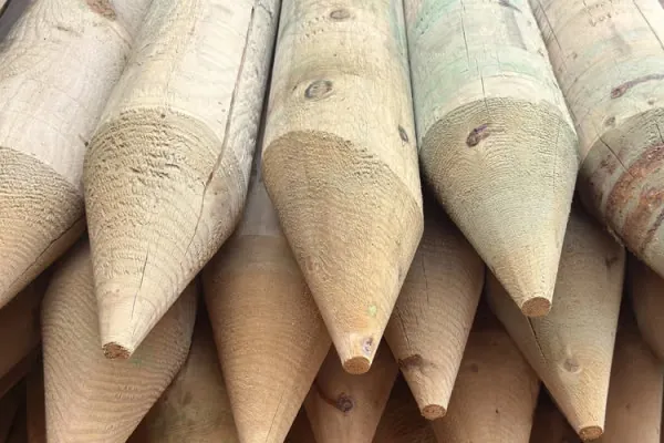 5¼ Pressure Treated Pointed Fence Post