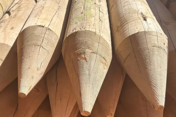 6” Pressure Treated Pointed Fence Post
